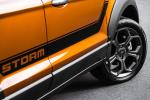 Ford EcoSport Storm 2018 года (LA)